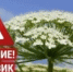 Уважаемые собственники земельных участков! - Гаврилов-Ямский район